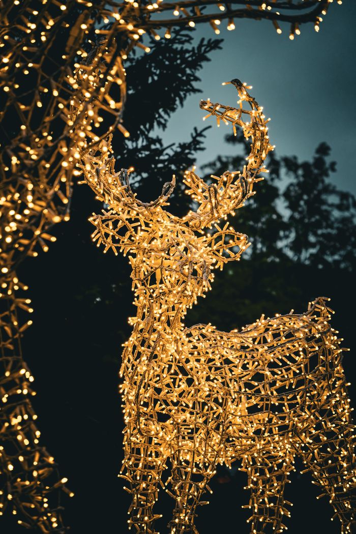 gallery-1 Festive reindeer sculpture adorned with glowing LED lights, set against a night sky, perfect for Christmas ambiance.