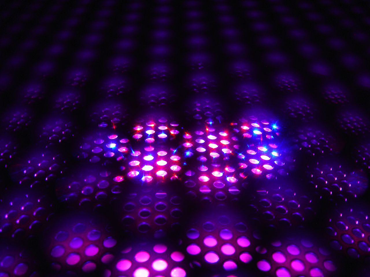 about-01 Close-up of an illuminated purple LED light grid with a futuristic appearance.